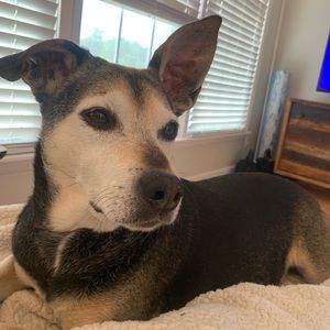 Meet your Posher, Hadley